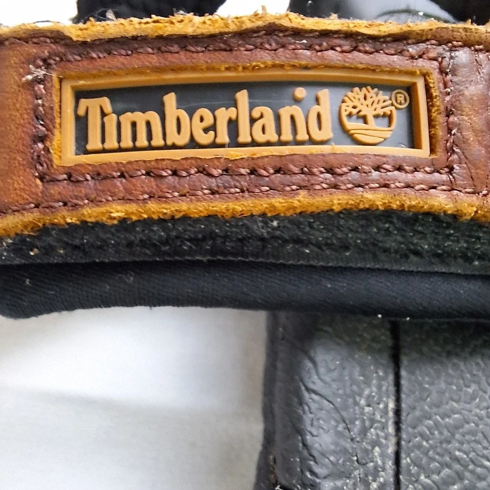 Timberland hiking trail